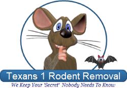damage,opossum,animals,home,texas,texans 1 rodent removal,possums,get rid,company,houston,remove opossum,exterminator,opossum in attic,scratching,problem,walls,ceiling,attic,control,service,infestation